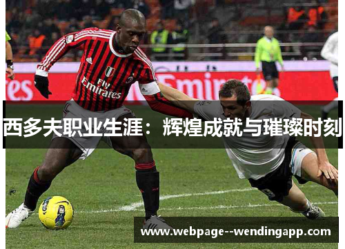 西多夫职业生涯：辉煌成就与璀璨时刻