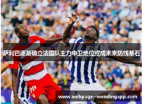 萨利巴逐渐确立法国队主力中卫地位或成未来防线基石
