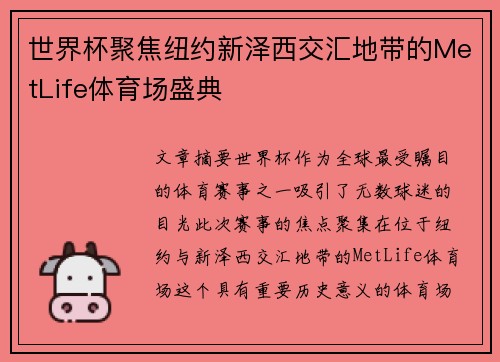 世界杯聚焦纽约新泽西交汇地带的MetLife体育场盛典 世界杯聚焦纽约新泽西交汇地带的MetLife体育场盛典